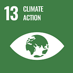 UN Sustainable Development Goals logo 13 - climate action.