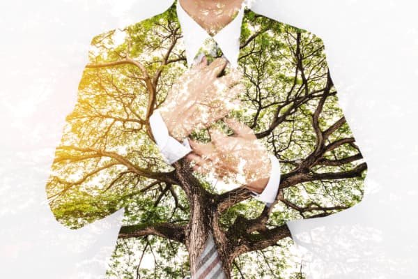 Double Exposure Businessman in Suit with Big Tree with Bright Sunlight.